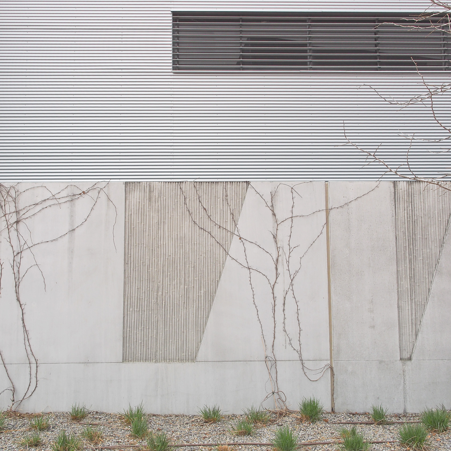 WU_Campus_005